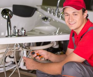 About Plumbers Pros Ralph, MI
